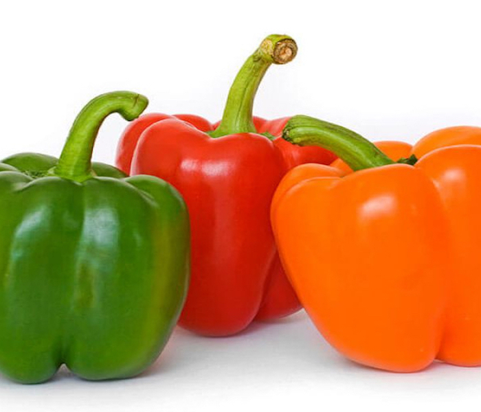 Fresh Green Bell Pepper 2022 With Good Price And High Quality