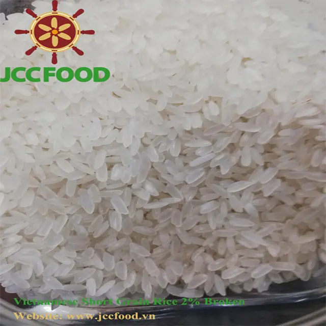 100% Broken Short Grain White Rice With ITS HEALTH CER HACCP BRC NON GMO Certification From Vietnam Factory