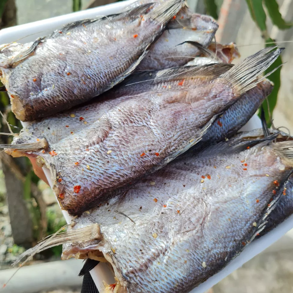 Dried Snakeskin Gourami Fish 1 Sun High Quality Dried Snakehead Fish Made in Vietnam Food Export Products