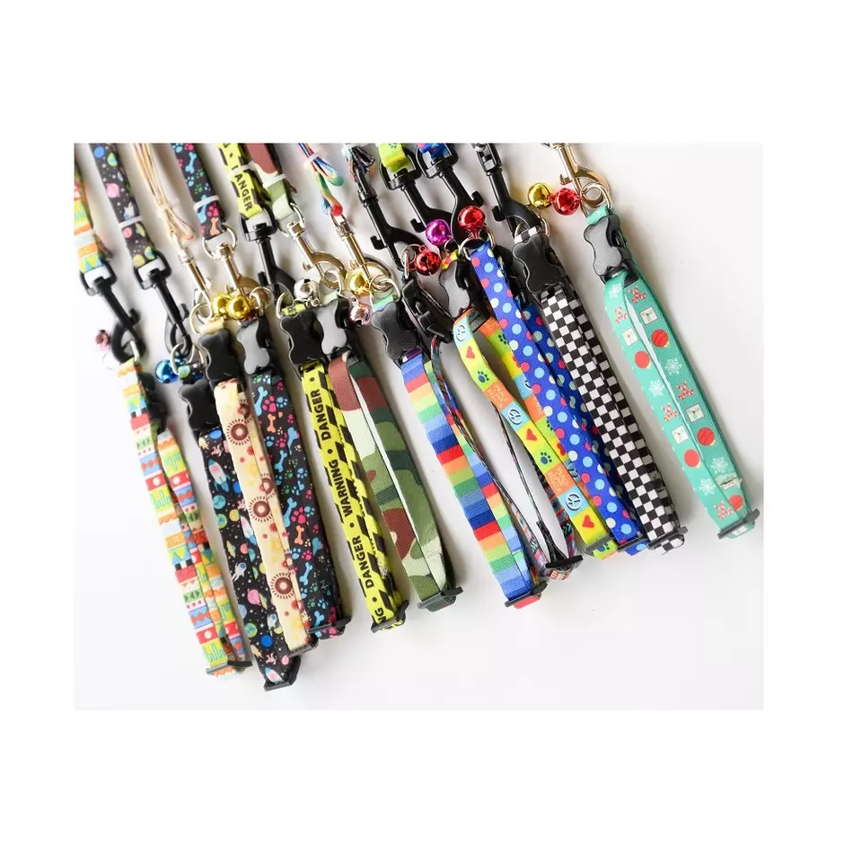 Decorations stocked feature best seller product dog leash set Dog Leashes With Double-Sided Collar 1cm Mr.Dog from Vietnam