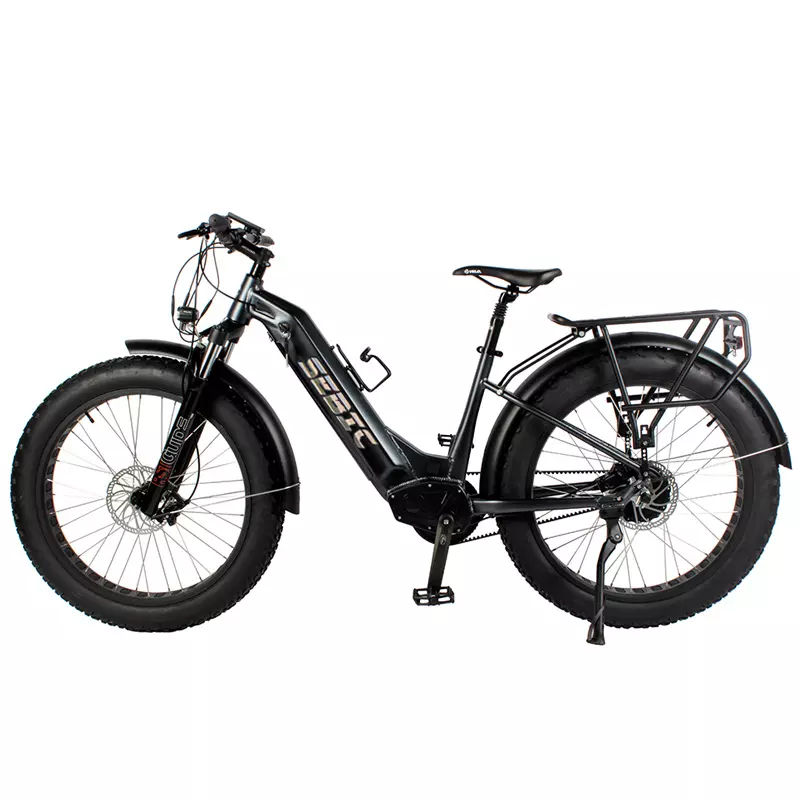 Affordable Price Aluminum Alloy Frame Rear Hub Motor Down Tube High Speed Female Lady Snow Ebike Electric City Bike