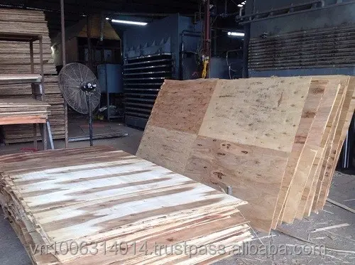 Vietnam Eucalyptus 16MM Calibrated Plywood for Furniture
