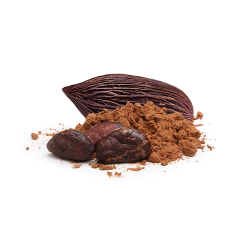 Cheap Bulk 100% Organic Vietnamese Instant Cocoa Powder Rich In Nutrients And Good For Health