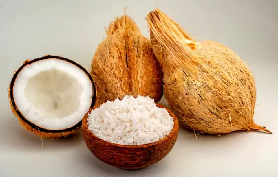 Dried Coconut From Vietnam Low MOQ Tropical Style Mature Sweet Nutrition Hot Selling Organic Export Best Quality Brand