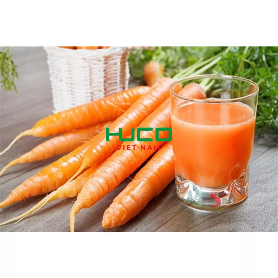 Carrot fresh vegetable new crop fresh carrot wash organic carrot frozen made in Vietnam