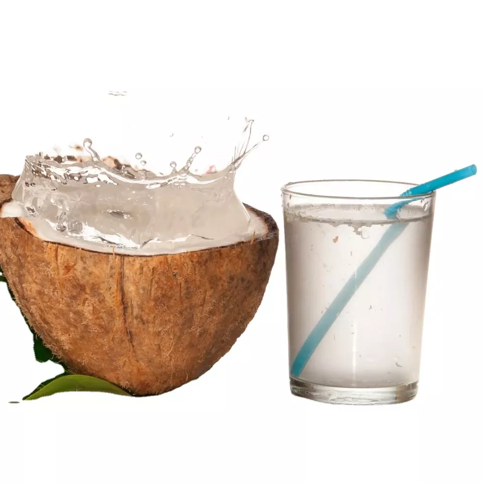 Made In Viet Nam Coconut Water 100% Wholesale Coconut Juice High Quality Best Price