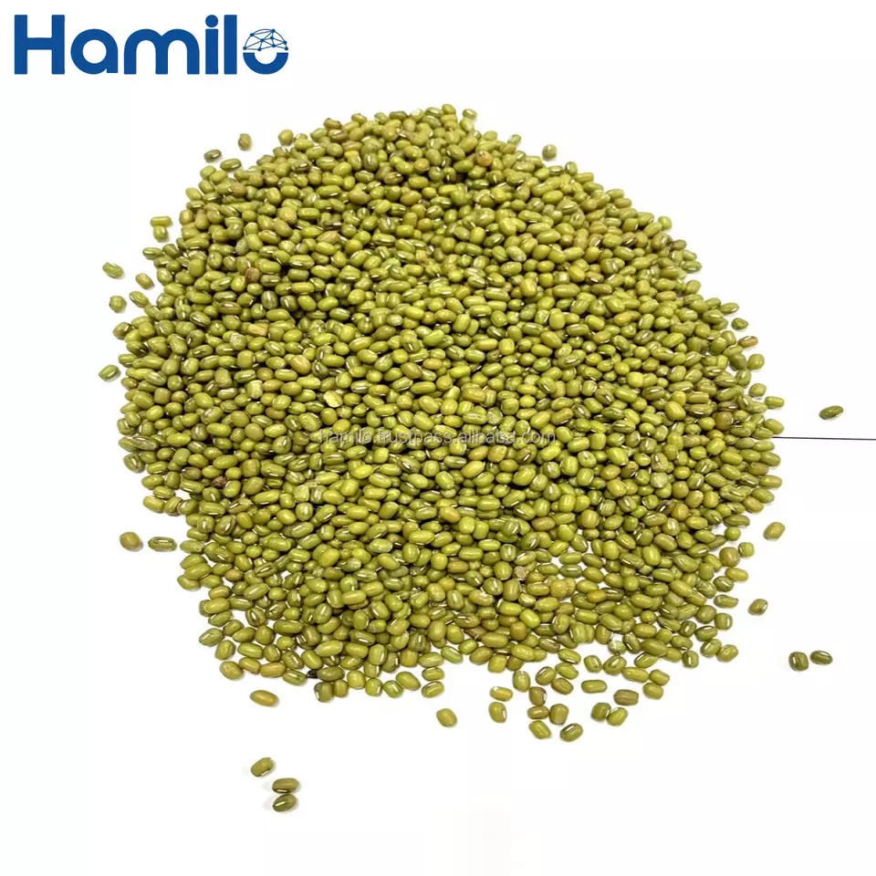 Premium Quality Green Mung Bean Bulk Price USDA Factory With High Protein