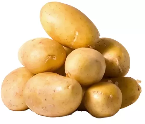 Competitive Price High Quality Organic Fresh Yellow Potatoes Export Origin From Vietnam