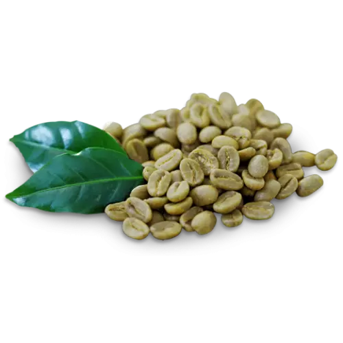Best Quality Coffee Beans 100% Organic Made in Vietnam Wholesale at Cheap Price - Green Coffee Roasted,green Bulk Packaging