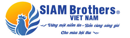 Siam Brothers Vietnam Service And Trading Company Limited
