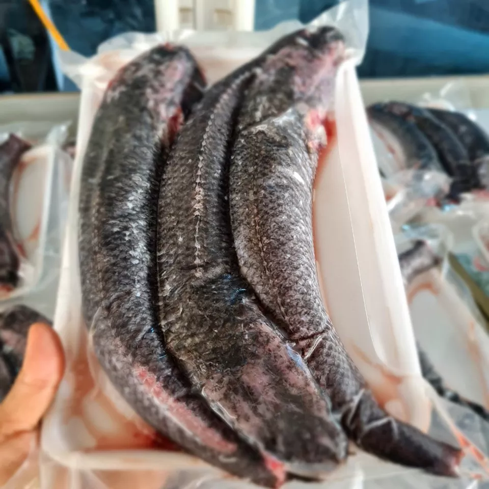 Fillet Snakehead Fish 1 Sun High Quality Dried Snakehead Fish Made in Vietnam Food Export Products