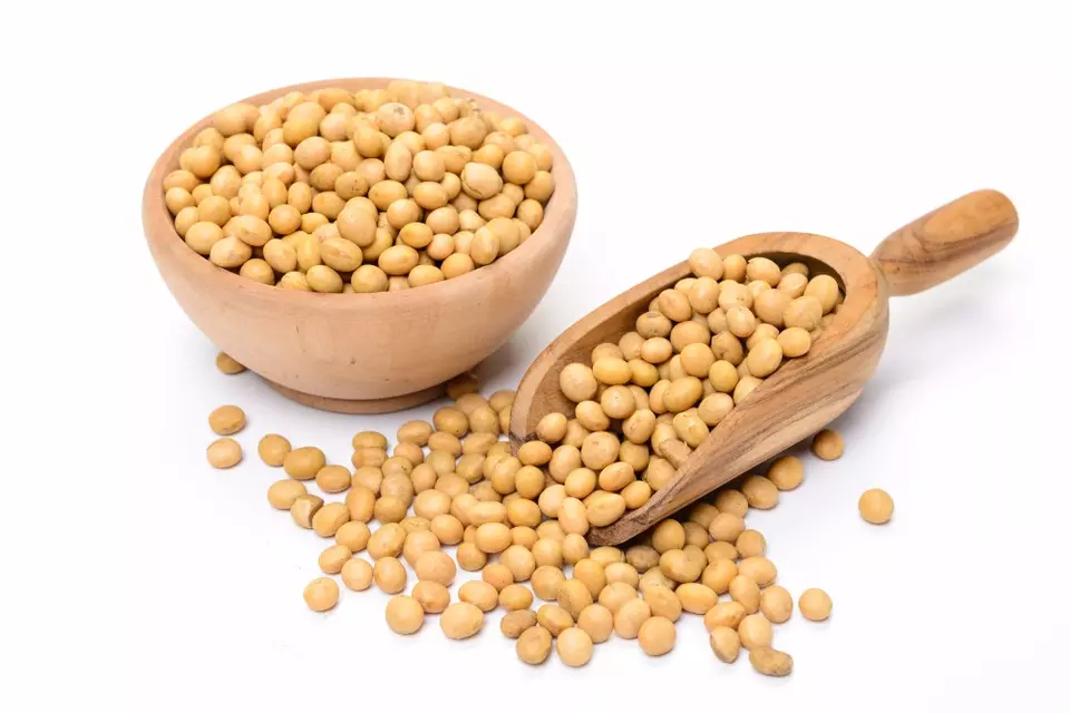 Best Price Soybeans SBDM For Animal Feed With Fast Delivery