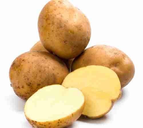 Vietnam Supplier Fresh Potato High Quality To Export
