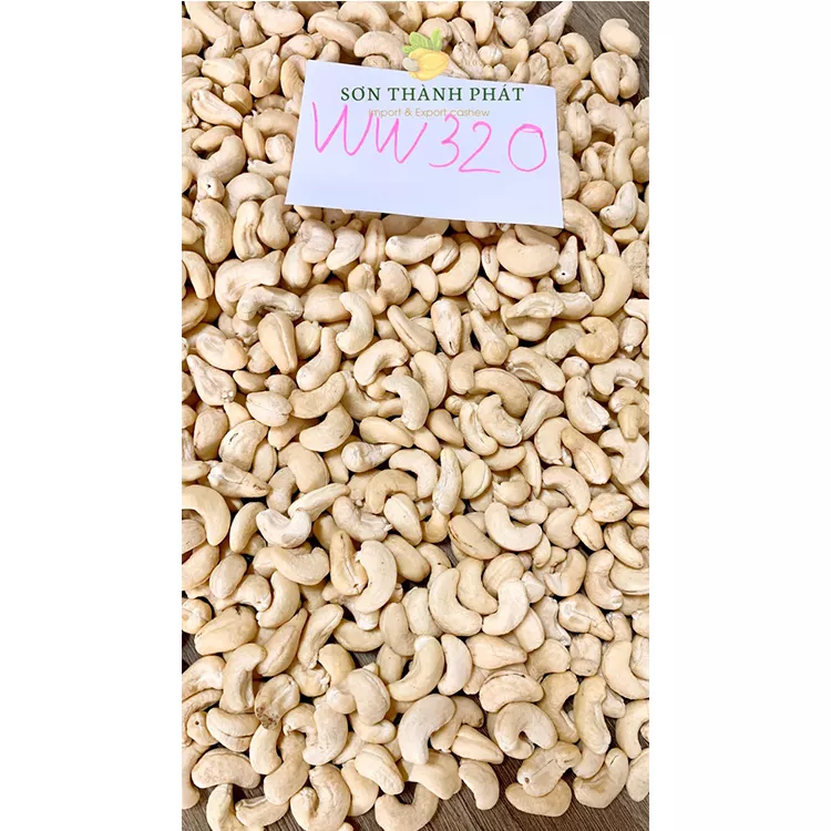 Raw Cashew Nuts High Specification Organic Nuts Using For Food ISO HACCP Certification Packaging Carton & Vacuum Pe Vietnamese