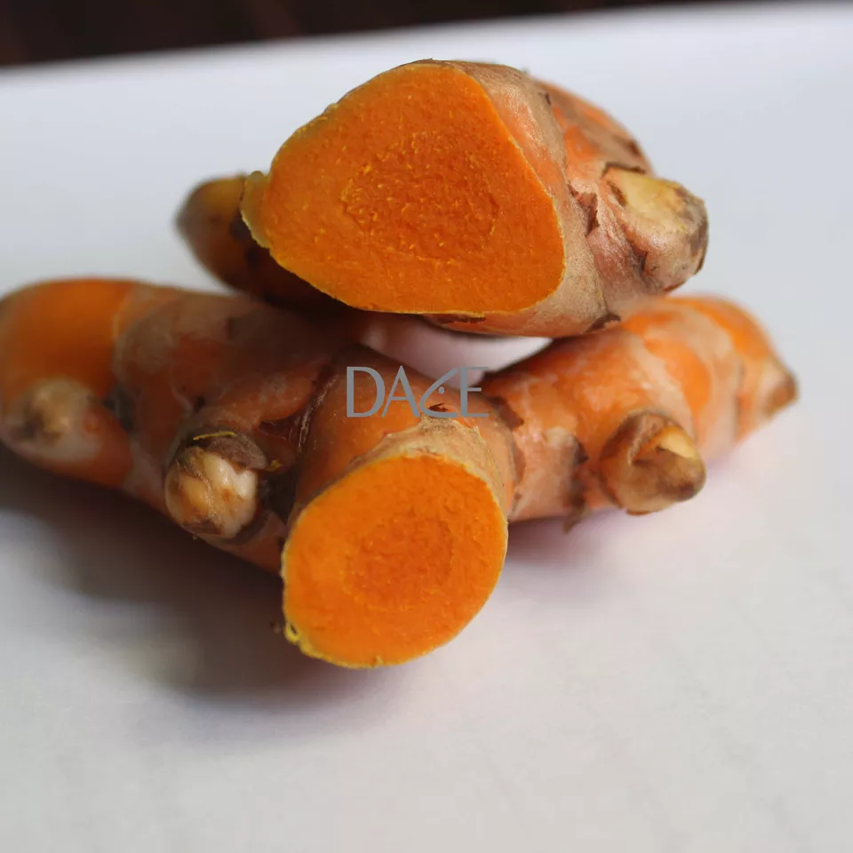 High Quality Fresh Turmeric from Vietnam Red Single Herbs & Spices Raw Elongated 10 Kg with 3 Months Shelf Life