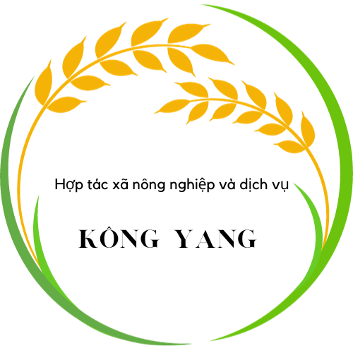 Kong Yang Service and Agriculture Cooperative
