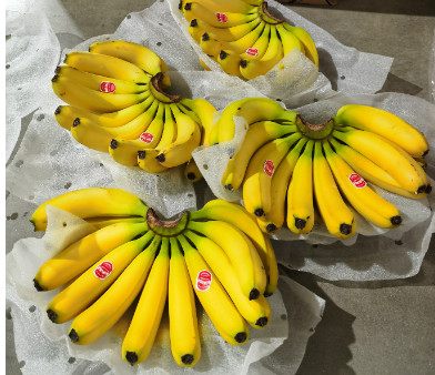 Fresh fruit banana