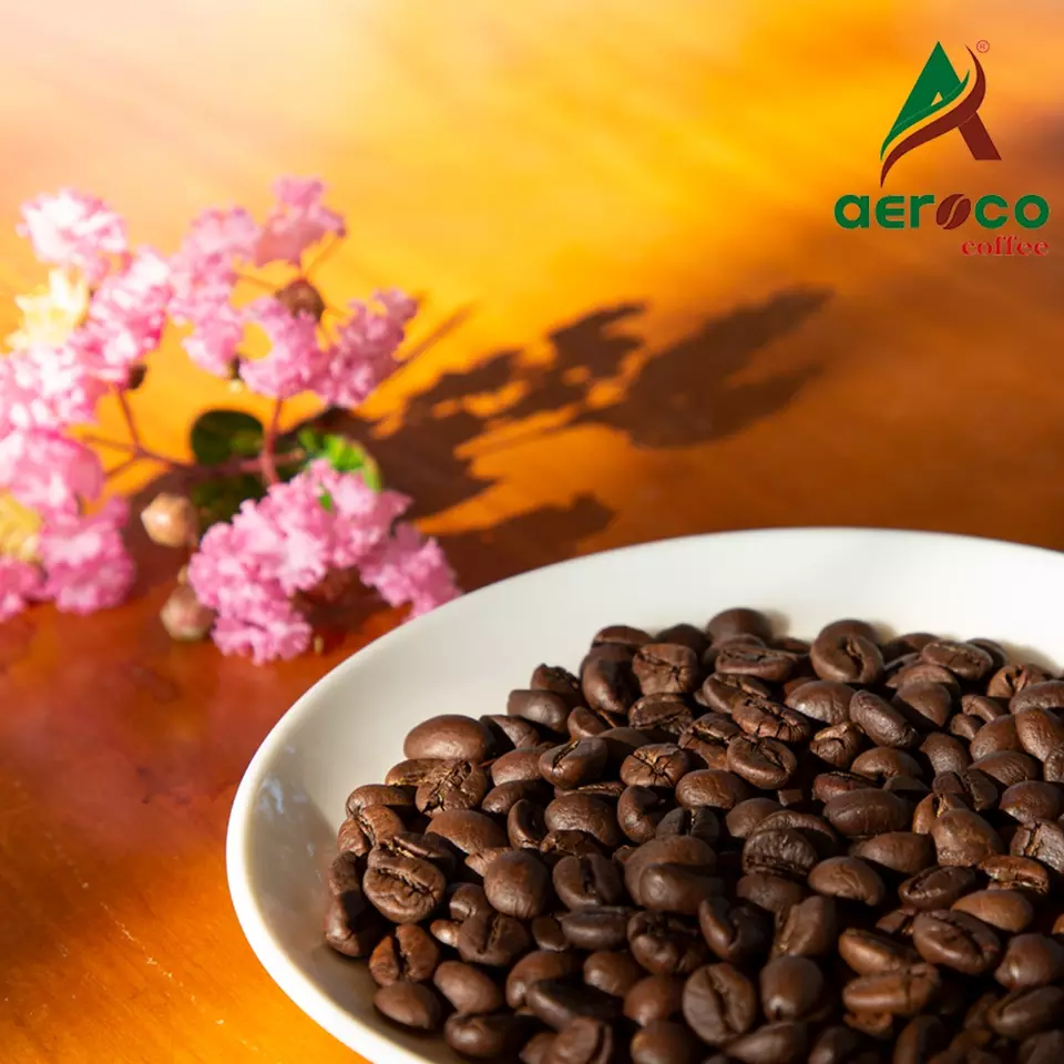 Aeroco Good Coffee Manufacturing Factory Price Roasted Bean Robusta