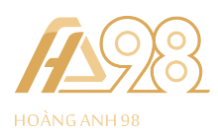 Hoang Anh 98 Transport Import Export Company Limited