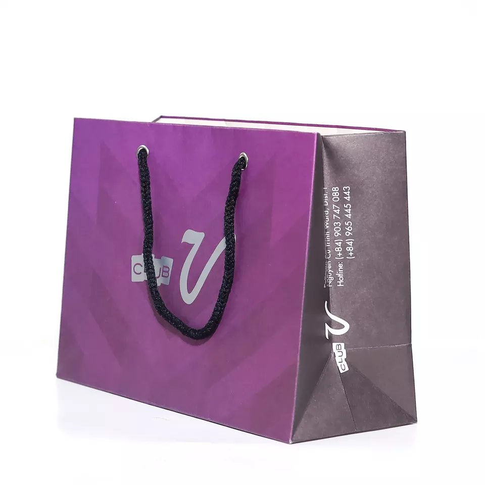 Feature Color Mini Paper Bags Material Kraft from Vietnam Fashion type customized 21x31x5 size Industrial Use