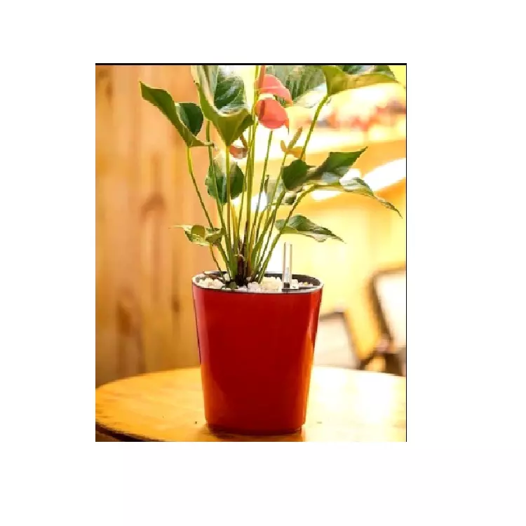 PE Coated indoor flower pot Auto watering Flower POT VIETDRIP from Vietnam finished Brown color W 20cm x H 167cm size