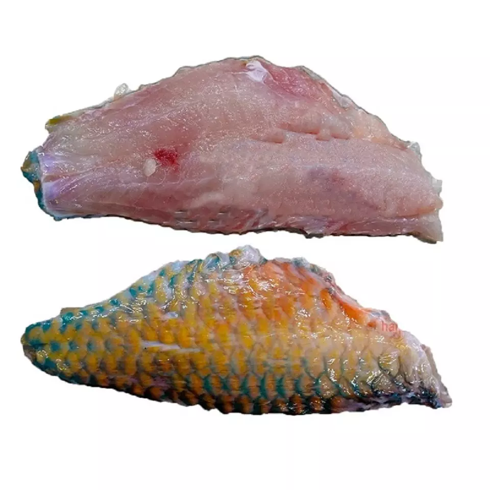 Best seller frozen parrot fillet product of Hai Phu Company with IQF freezing method in Quang Ngai Vietnam
