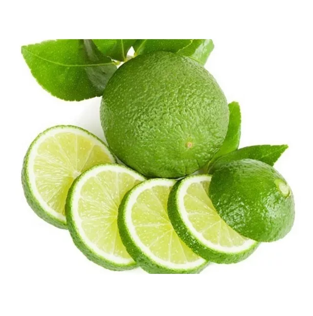OEM Fresh Green Seedless Lime from Vietnam Cheap Price FRESH SEEDLESS Wholesale GREEN LEMON Raw Origin