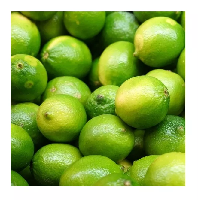 100% Fresh Seedless Lime made in Vietnam Cheap Price FRESH SEEDLESS Wholesale GREEN LEMON Raw Origin