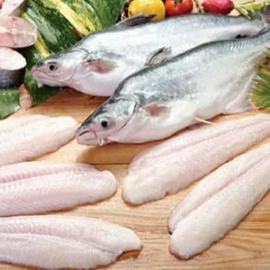 Cheap protein-rich Frozen Basa fish cultured with Packaging Vacuum Pack best selling from Viet Nam supplier