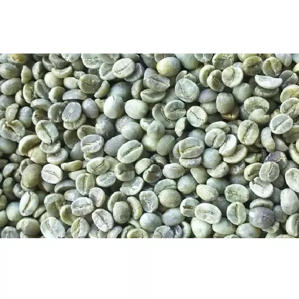 High Quality Shelf Life 2 Years Export Non Ingredient Best Green Raw Arabica Coffee From Vietnam with Max. Moisture 12.5%
