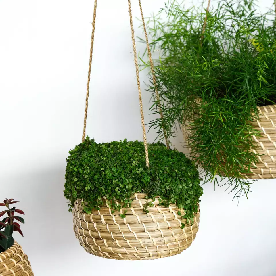 New Design Indoor Garden Pots Handwicker Hanging Planters Set 2