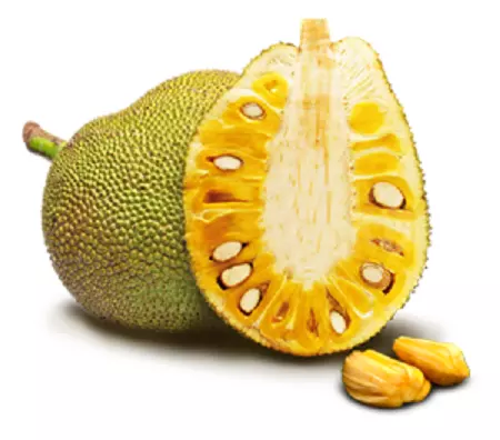 Viet Nam Jackfruits Tropical Fruit Fresh and Sweet No Preservative Special Taste Natural Fresh Jackfruits