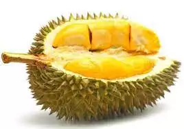 High Quality Durian Fruit from Vietnam Wholesale Durian Fresh Durian Export to EU USA Japan Korea UAE Yellow Green Top