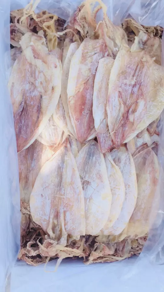 Hot Selling Special Dried Squid (7-10 pieces/kg) from Vietnam | Dried Squid | Cheap Price | Cuttlefish