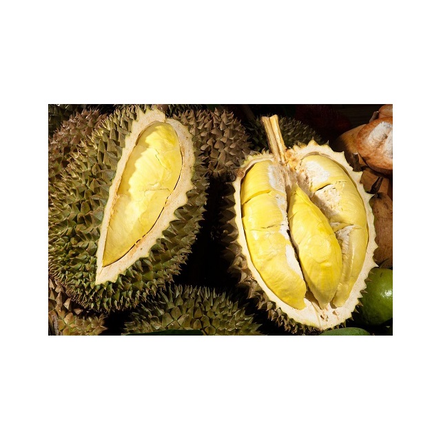 BEST QUALITY FRESH NATURAL DURIAN FROM VIETNAM WITH COMPETITIVE PRICE