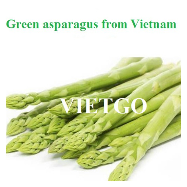 Supplier for the big volume of green asparagus from Vietnam