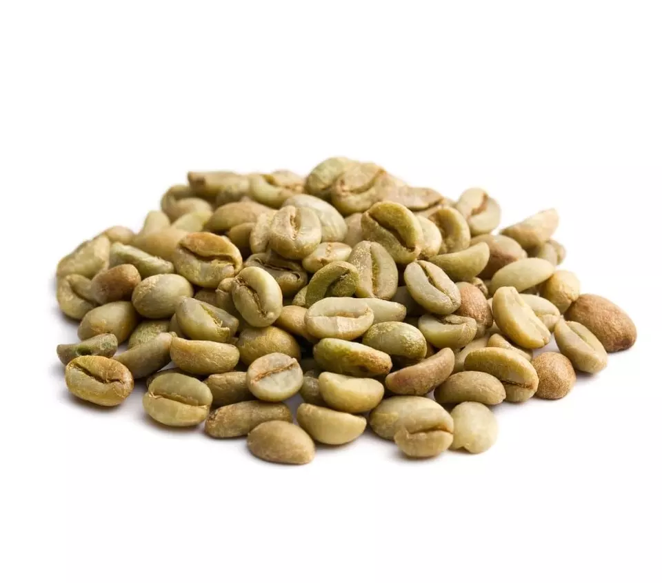 Robusta S16 - Clean Green Coffee Bean Manufacturer Wholesaler Supplier From Vietnam 100% Natural Coffee Bean Good Price Low MOQ