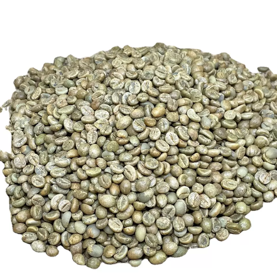 Green Arabica Coffee Beans Common Cultivation Type Arabica Variety Processing Type Honey 98% Maturity Vietnamese single Origin
