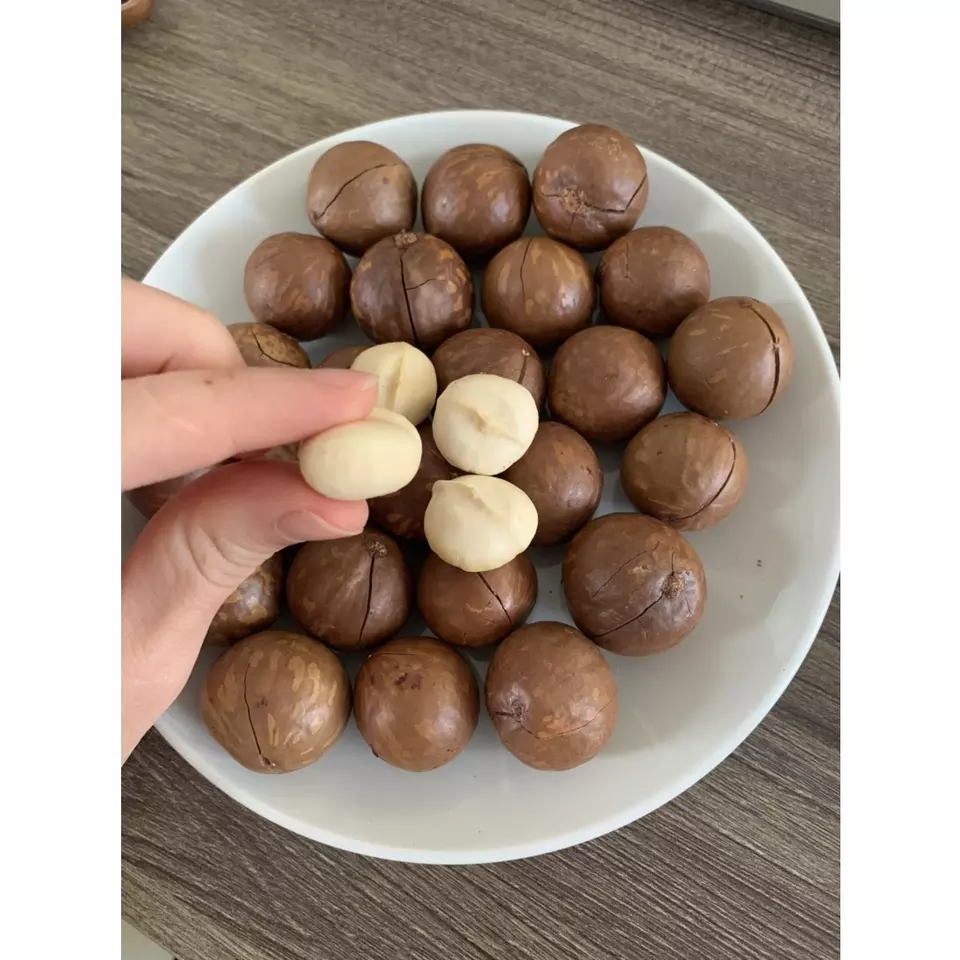 Ready To Eat Naturally Cracked Medium Size Roasted Dried Whole Macadamia Nuts with Natural Taste From Vietnam