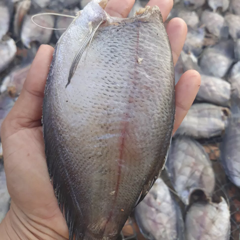 Dried Snakeskin Gourami Fish 2 Sun High Quality Dried Snakehead Fish Made in Vietnam Foods Export Products