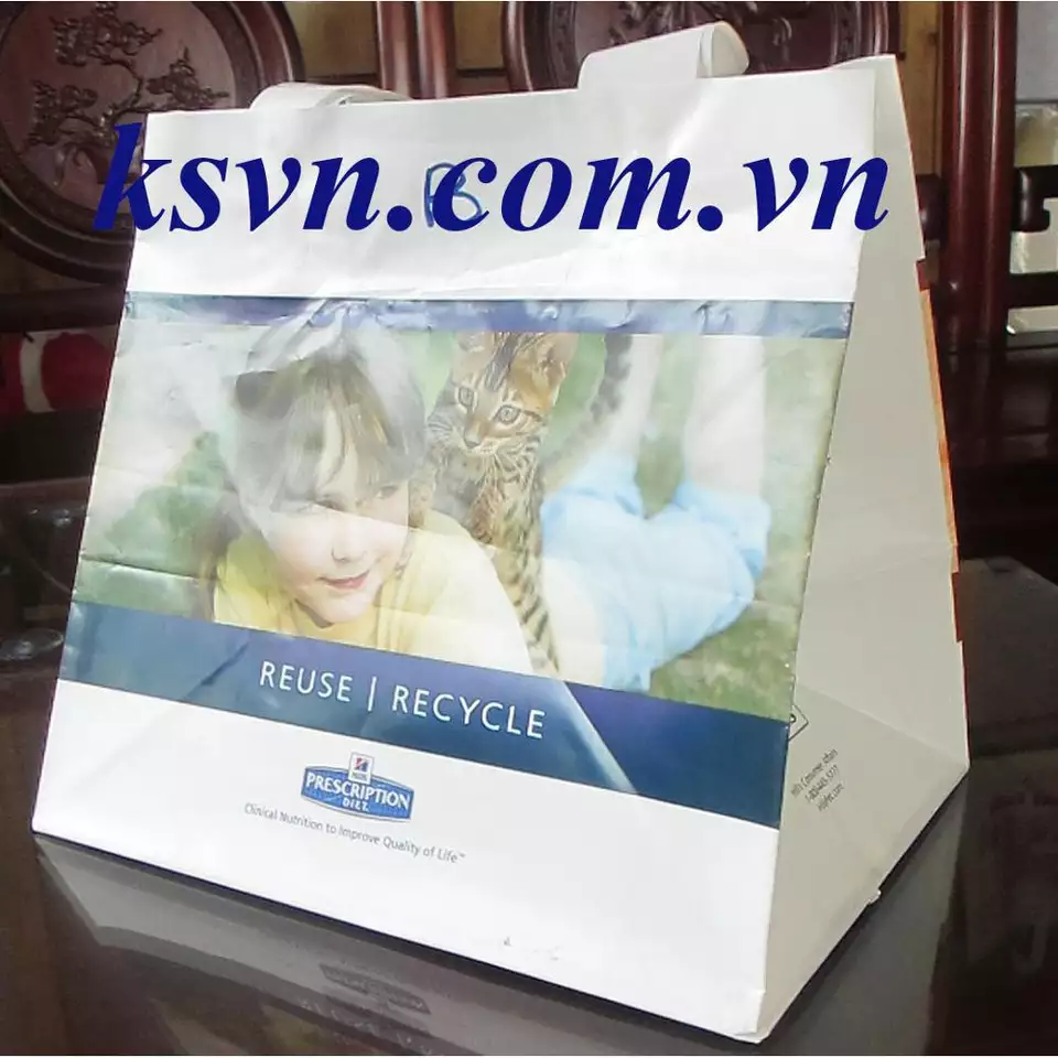 made in vietnam cheap printed soft loop handle plastic bag