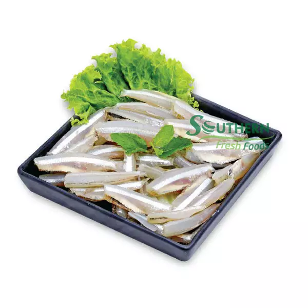 Ingredients shelf 2 years life storage river content seafood export Frozen White Anchovy Headless Wild Caught SFF from Vietnam
