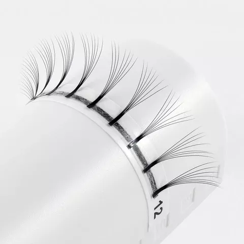 Eyelash extension supplies Premium Oem Private Label Premade Fans 6D Lashes Eyelash Extension