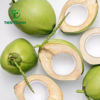 Coconut Xiem Green/ Fresh Coconut/ Coconut Young From Vietnam
