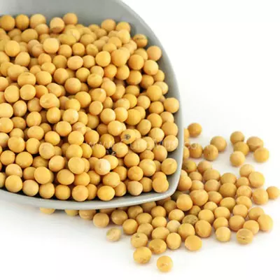 Most Reasonable Price Soybeans SBDM For Animal Feed With Canadian Origin