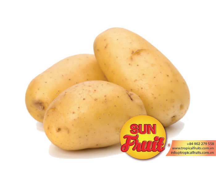 2022 New Season Fresh Potato/Big Size Fresh Potatoes/Sunfruit