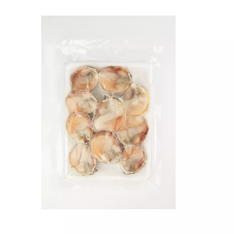 Hot Sale High Quality HACCP Vacuum Pack Fresh Shellfish Seafood Frozen Vasticardium from Vietnam with Cheap Price