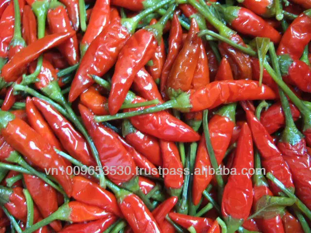 Salted Small Chilli,Hot Pepper