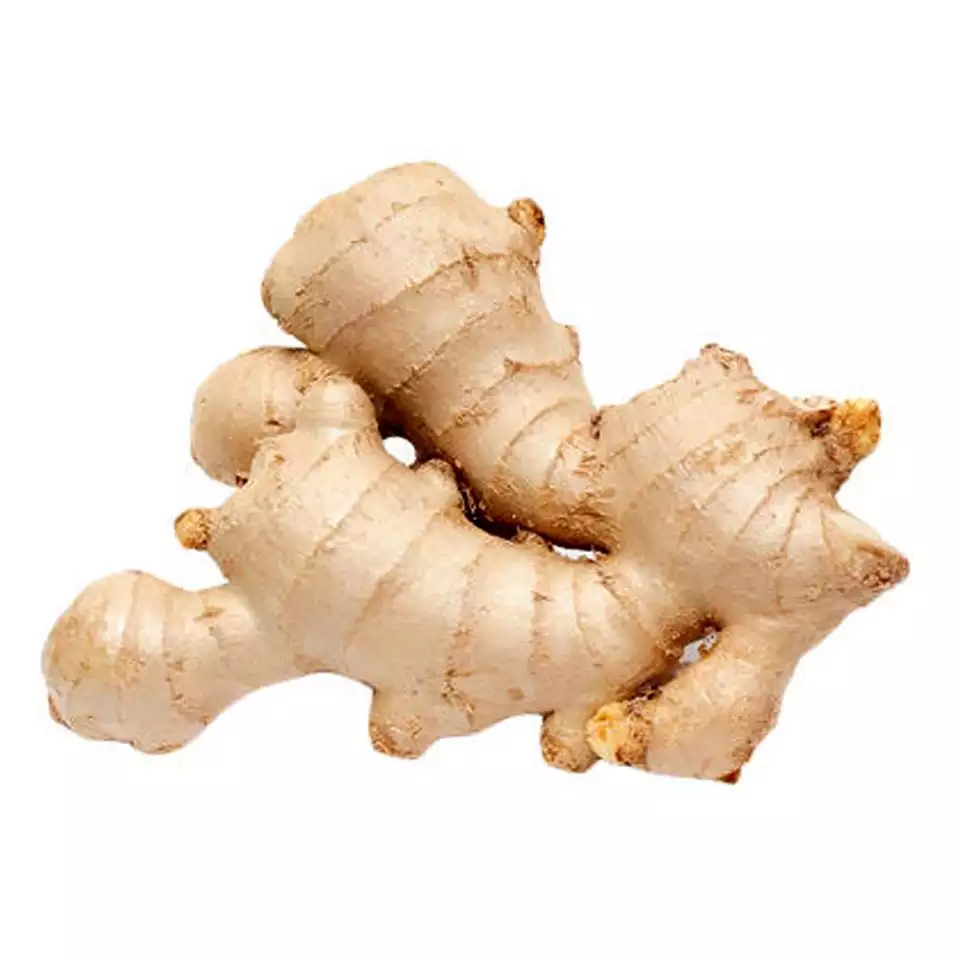 HOT SELLERS - Fresh Ginger from Vietnam - 100% Organic - Best price - High quality