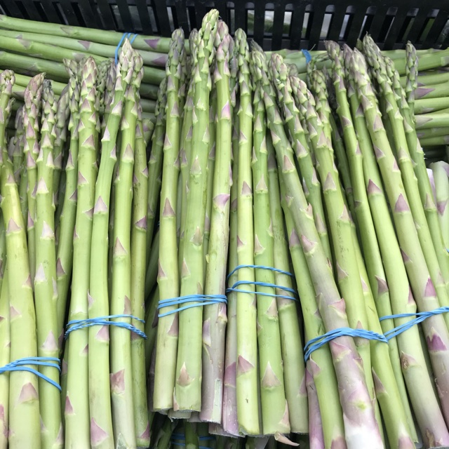TOP SALE 2022 - FRESH ASPARAGUS - Competitive Price made in Vietnam 2022 - from VIETNAM VENDOR